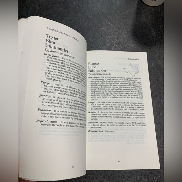 A field guide to reptiles and amphibians of Texas - Picture 4 of 4